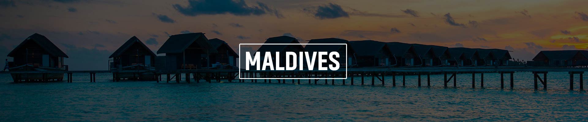 Maldives Exhibition & Conference Services Pvt Ltd (MECS)